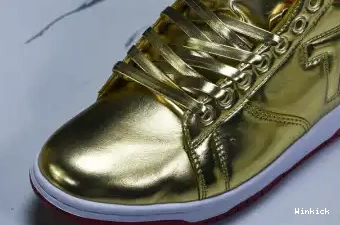 x Air Jordan TRUMP PKTLP001 1 0706